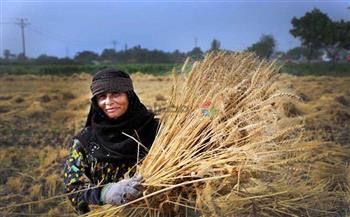 يوم المرأة الريفية | الأمم المتحدة : النساء يشكلن 40% من القوى الزراعية بالبلدان النامية