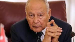 «أبو الغيط»: القمة العربية بالجزائر ستكون «قمة لم الشمل العربي»