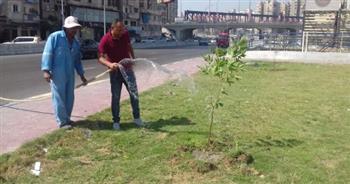 محافظ الإسكندرية: زراعة 18 ألف شجرة بمختلف أحياء المدينة
