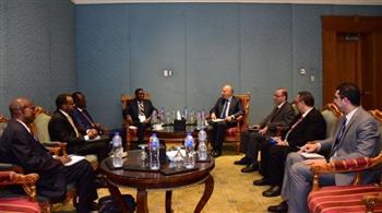 وزير الري يؤكد استعداد مصر لدعم الصومال في استكشاف الخزانات الجوفية وحفر الآبار