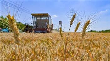 "الخارجية" الروسية تؤكد أهمية التنفيذ الكامل لاتفاق الحبوب
