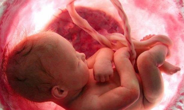 3 طرق لعلاج الجنين فى بطن أمه
