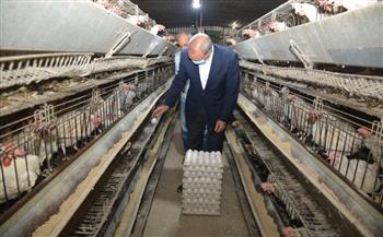 محافظ القليوبية يتابع مشروع الـ 30 مليون بيضة بمدينة الخانكة