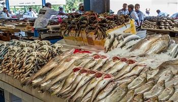 أسعار الأسماك اليوم الأحد 2-10-2022