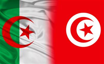 مباحثات تونسية جزائرية حول الدورة 31 لمجلس جامعة الدول العربية