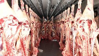 بتوجيهات الرئيس .. الأوقاف: مضاعفة كمية اللحوم الموزعة على الأسر الأولى بالرعاية