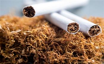 شريف حتة يكشف العلاقة بين التدخين وهشاشة العظام