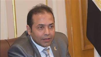 عضو «تجارية القاهرة»: إجراءات الحماية تؤكد جدية الدولة في تفعيل مخرجات المؤتمر الاقتصادي