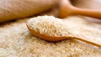 "تموين كفر الشيخ": توريد أكثر من 27 ألف طن من الأرز الشعير حتى الآن