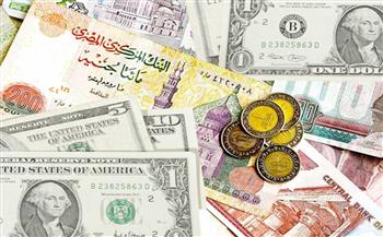 تراجع أسعار صرف العملات الأجنبية والعربية مقابل الجنيه في ختام التعاملات بالبنوك