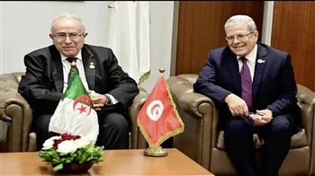 وزير الخارجية الجزائري يلتقي نظيره التونسي