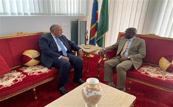 «شكري» يؤكد حرص مصر على تعزيز الأمن والاستقرار في الكونغو الديمقراطية