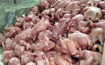 ضبط 15.5 طن دواجن ولحوم ومواد غذائية مجهولة المصدر داخل مصنع بالقاهرة