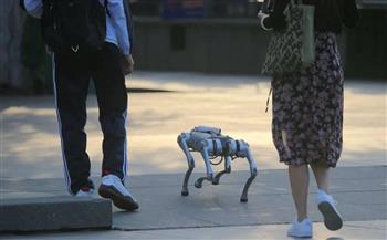 بـ14 ألف دولار.. انتشار الكلاب الروبوتية في الصين 