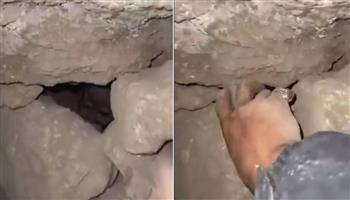 يشبه الطفل الصغير.. العثور على كائن غريب داخل كهف جبلي بالأردن (فيديو)