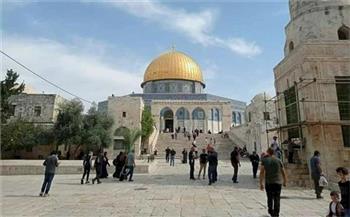 إصابات واعتقالات خلال قمع الاحتلال فعالية لإحياء ذكرى المولد النبوي في القدس