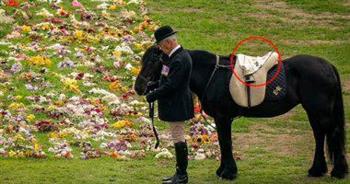 حصان الملكة إليزابيث في صورة جديدة مؤثرة