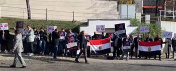 المصريون في «فيينا» يدعمون الدولة المصرية والقيادة السياسية (فيديو)