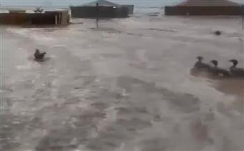 بسبب الأمطار الغزيرة.. شوارع الكويت تتحول إلى بحيرات للبط (فيديو)