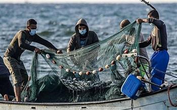 نقابة الصيادين الفلسطينيين تستنكر قرار حظر تصدير أسماك غزة للضفة الغربية 