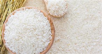 "تموين كفر الشيخ": توريد 30 ألفا و896 طنا من الأرز الشعير حتى الآن