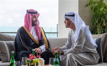 ولي العهد السعودي يلتقي رئيسي الإمارات وتركيا على هامش قمة العشرين 