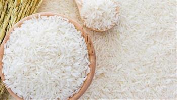 تموين كفر الشيخ: توريد 32 ألف طن من أرز الشعير