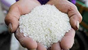 تموين الدقهيلة: توريد 19 ألفًا و500 طن من محصول الأرز للشون