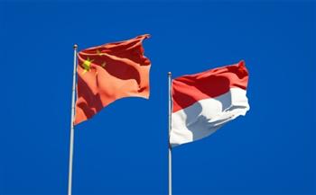 مباحثات صينية - إندونيسية على هامش قمة مجموعة الـ20