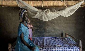 البنك الدولي: وفيات الوقود الحيوي تفوق وفيات الملاريا والإيدز فى إفريقيا جنوب الصحراء