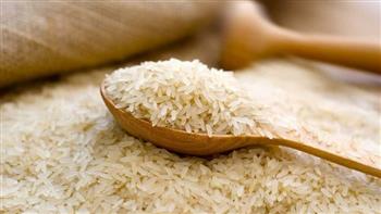 "تموين كفر الشيخ": توريد 31 ألفا و278 طنا من الأرز الشعير حتى الآن