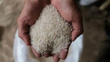 محافظ الغربية: توريد 30 ألفا و879 طنا من الأرز لمواقع التخزين بالمحافظة