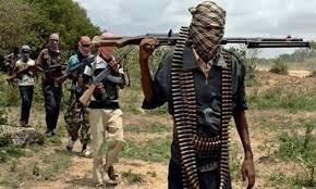 نيجيريا تؤكد مقتل قيادي بارز في مليشيات مناهضة للحكومة