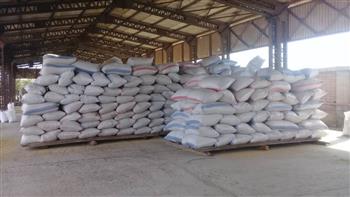محافظ الغربية: توريد نحو 31 ألف طن من محصول أرز الشعير حتى الآن