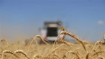 منظمة التجارة العالمية : تمديد صفقة الحبوب سيساعد في خفض أسعار المنتجات الزراعية