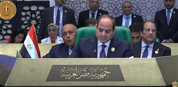 الرئيس السيسي: عدم الاستقرار في فلسطين أو الخليج يؤثر على كل الدول العربية