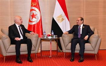 الرئيس السيسي يعرب عن تقديره للعلاقات التاريخية مع تونس