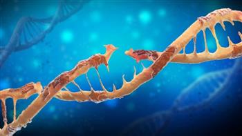دراسة تكشف الجينات المسئولة عن تطور سرطان الثدى