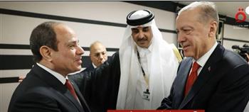 خبير علاقات دولية: تركيا تشهد على نجاح الرئيس السيسي بالعبور بمصر لمناطق آمنة 