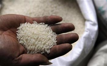 توريد 32 ألفا و451 طنا من محصول أرز الشعير لـ21 موقعا بكفر الشيخ