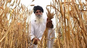 الهند: إعطاء اليمن أولوية في صادرات القمح لمعالجة مشكلة الأمن الغذائي بها