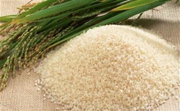 «التموين» تناشد المزارعين: نستهدف 25% من كميات الأرز المحصودة
