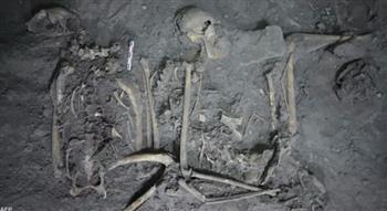 اكتشاف أثري صادم بشأن دفن قرد نادر حيًا قبل مئات السنين