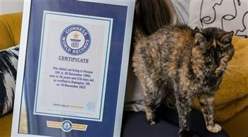 عمرها 27 عامًا .. "جينيس" تتوج أكبر قطة حية في العالم