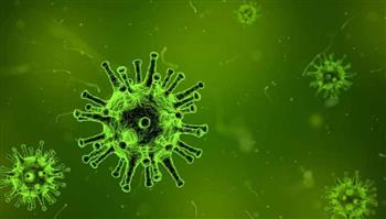سلوفينيا تسجل 1090 حالة إصابة جديدة بفيروس كورونا المستجد