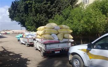 توريد أكثر من 34 ألف طن من محصول الأرز الشعير بكفر الشيخ