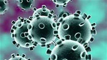 طبيب يحذر: الفيروس المخلوي يقتل 200 ألف شخص سنويا حول العالم