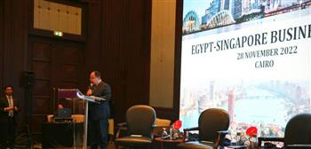 وزير المالية: أداء الاقتصاد المصري جيد.. رغم كل التحديات العالمية شديدة الصعوبة