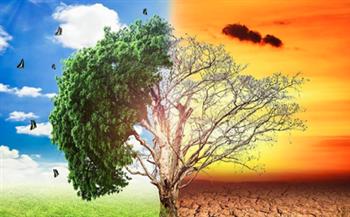 خبير البيئة: يجب تكاتف دول العالم لمواجهة التغيرات المناخية