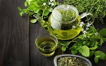 دراسة حديثة تؤكد.. الشاي الأخضر يساعد في الحماية من الزهايمر 
